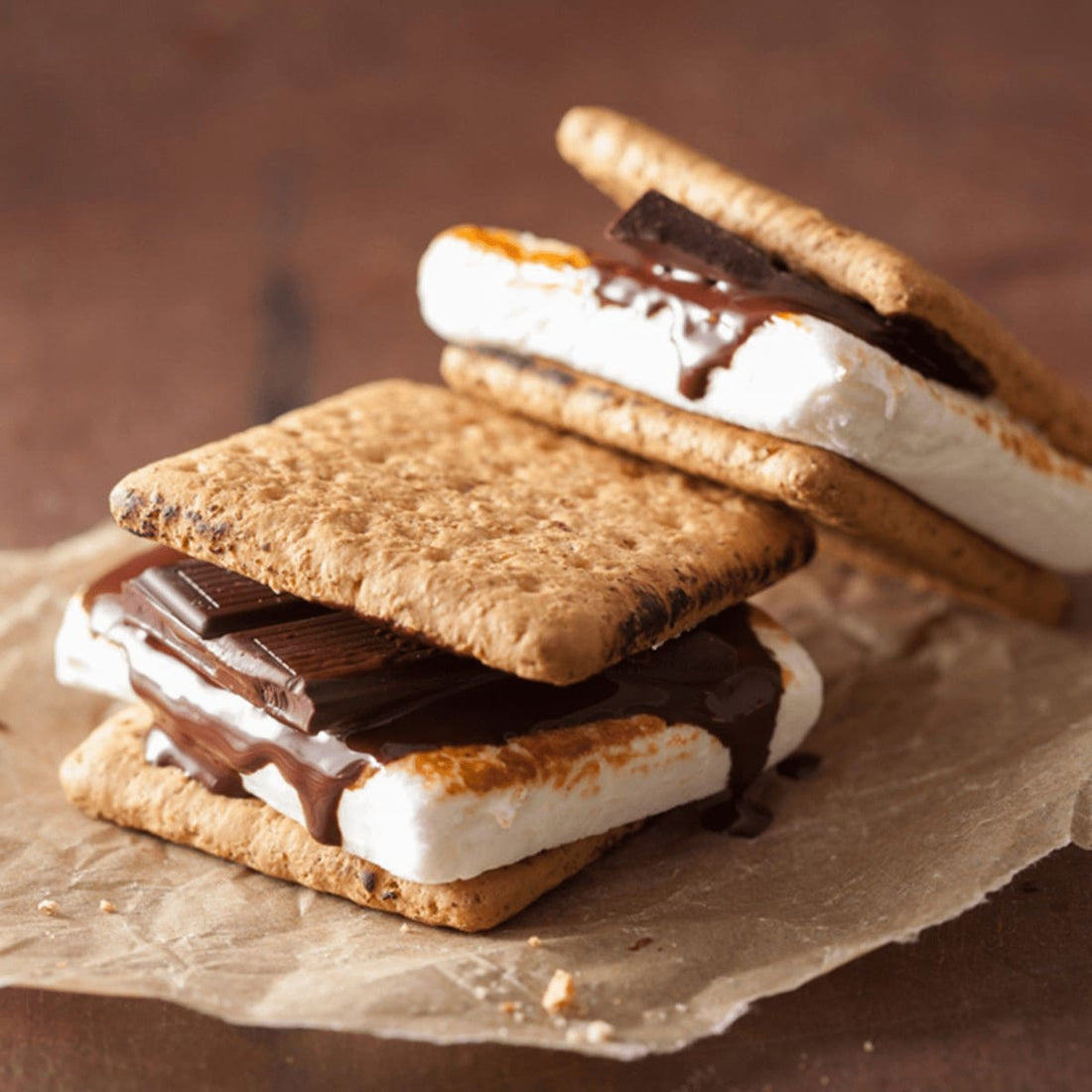 The Perfect Picnic: Exploring the World of S'mores and Their Delicious Legacy